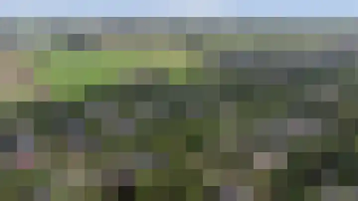 Weidegeelster 5 Twello thumbnail 38