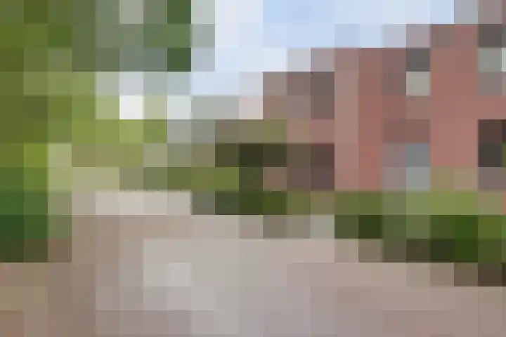 Weidegeelster 5 Twello thumbnail 4