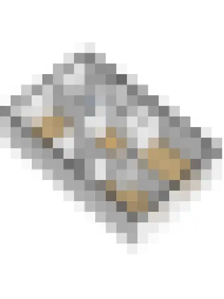 Weidegeelster 5 Twello thumbnail 40
