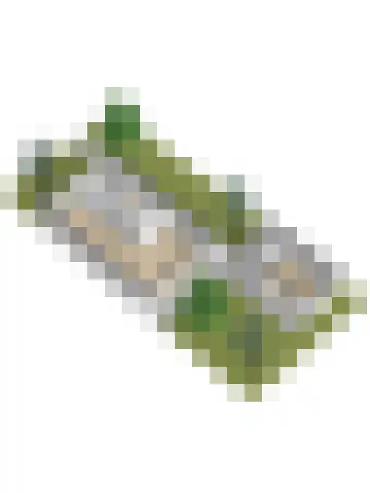 Weidegeelster 5 Twello thumbnail 42