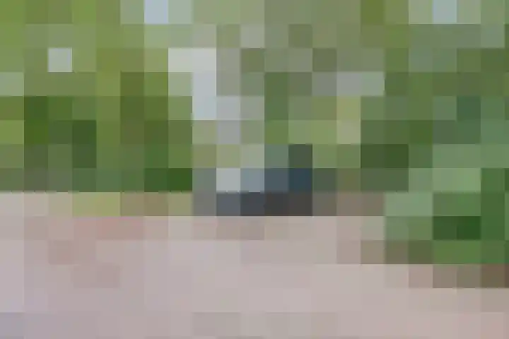 Weidegeelster 5 Twello thumbnail 6