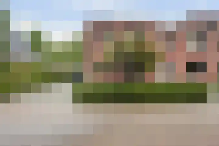Weidegeelster 5 Twello thumbnail 7