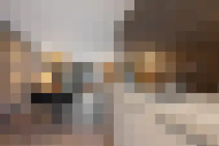 Weidehoek 11 Achterveld thumbnail 12