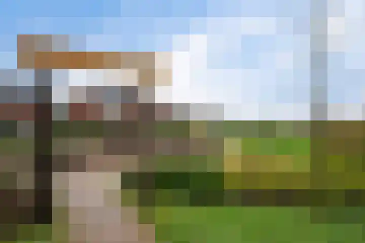 Weidehoek 11 Achterveld thumbnail 32