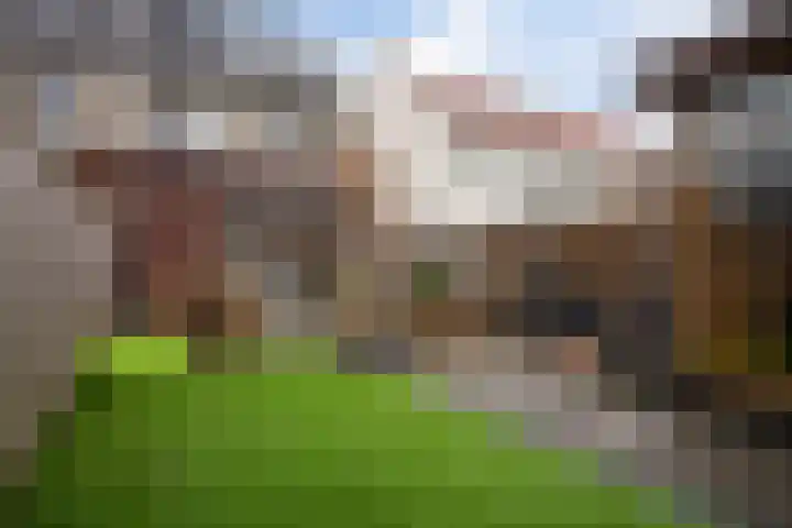 Weidehoek 11 Achterveld thumbnail 4