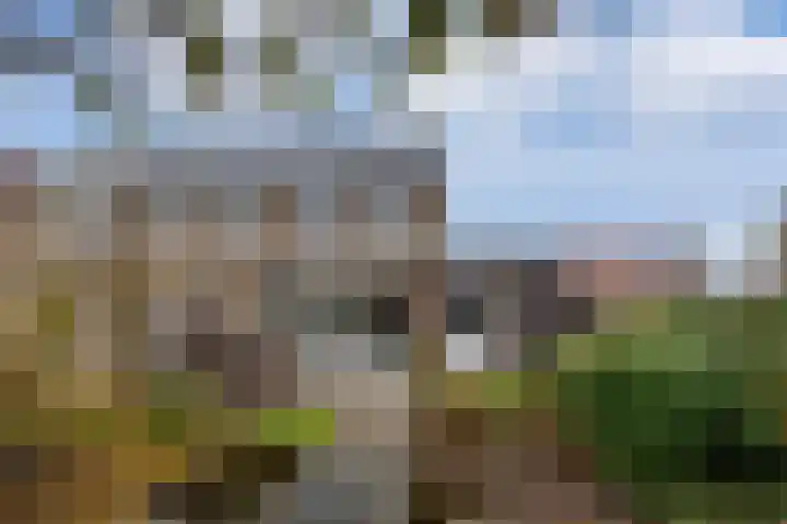 Weidehoek 12 Achterveld thumbnail 29