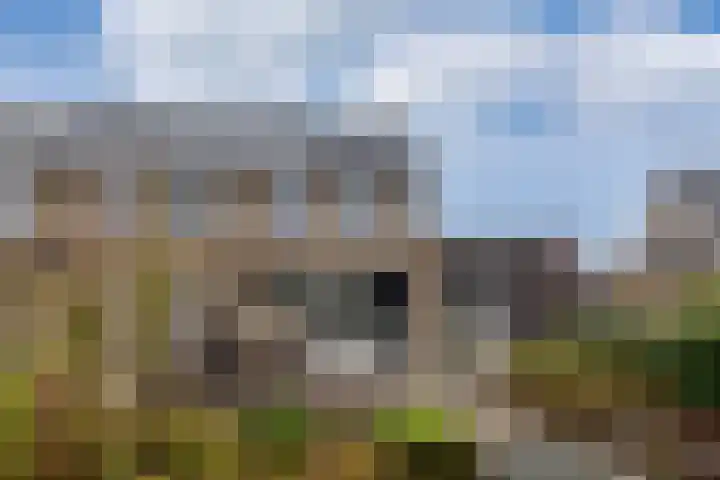 Weidehoek 12 Achterveld thumbnail 31