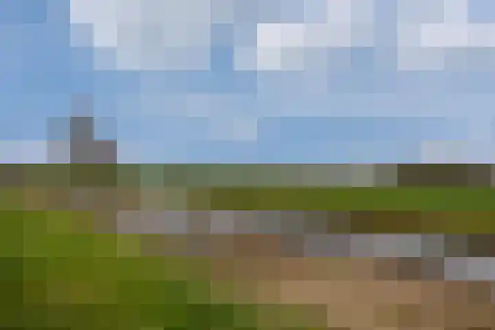 Weidehoek 12 Achterveld thumbnail 32