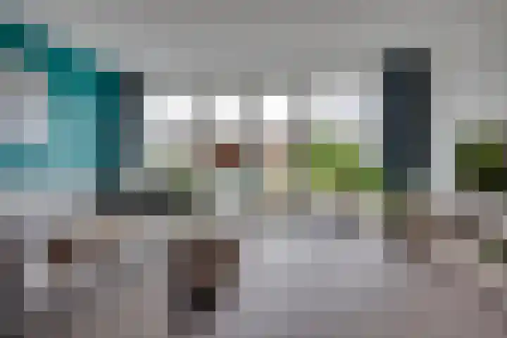 Weidehoek 12 Achterveld thumbnail 5