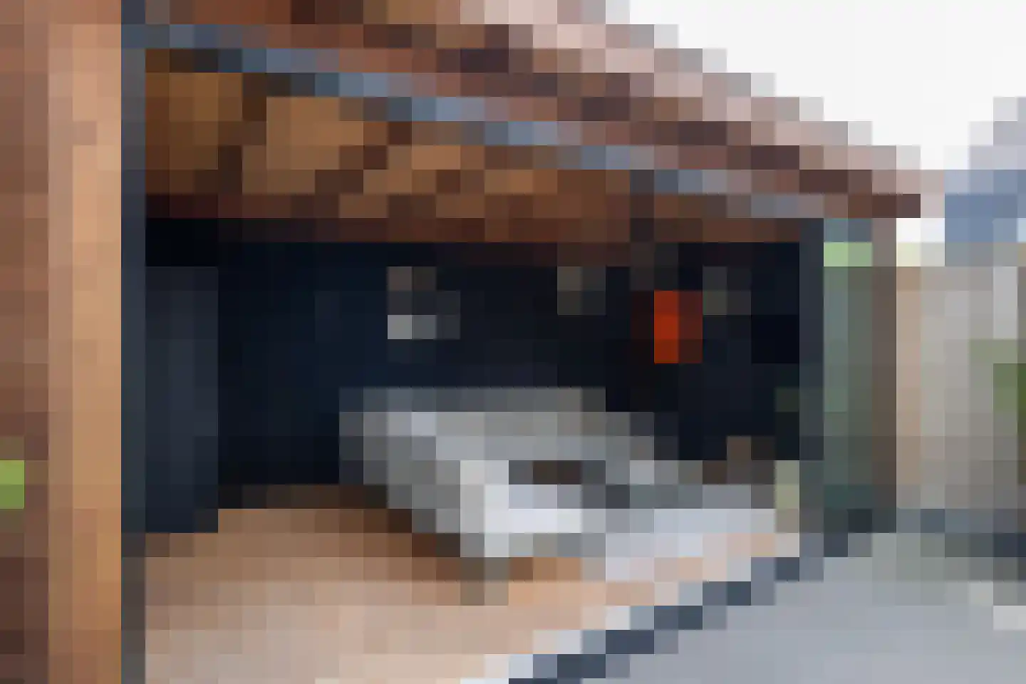 Weidehoek 15 Achterveld thumbnail 31