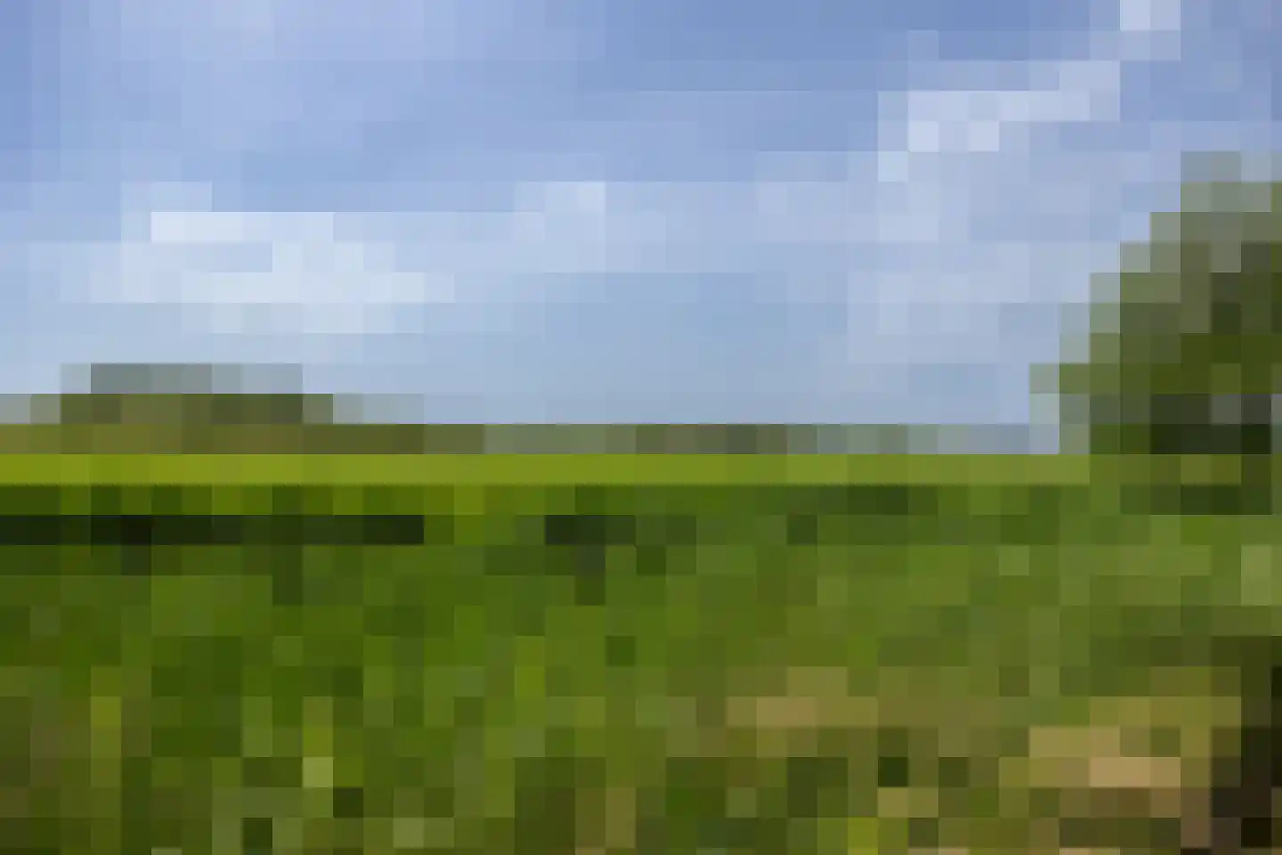 Weidehoek 15 Achterveld thumbnail 39