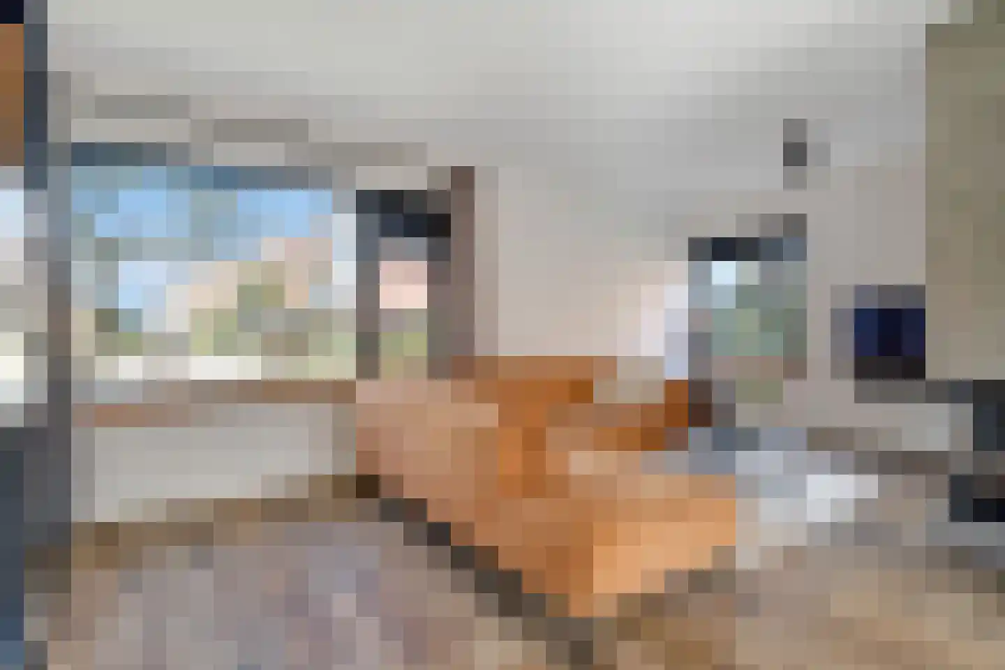 Weidehof 14 Hardenberg thumbnail 14