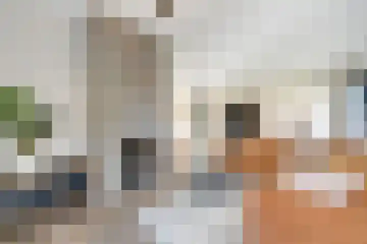 Weidehof 14 Hardenberg thumbnail 16