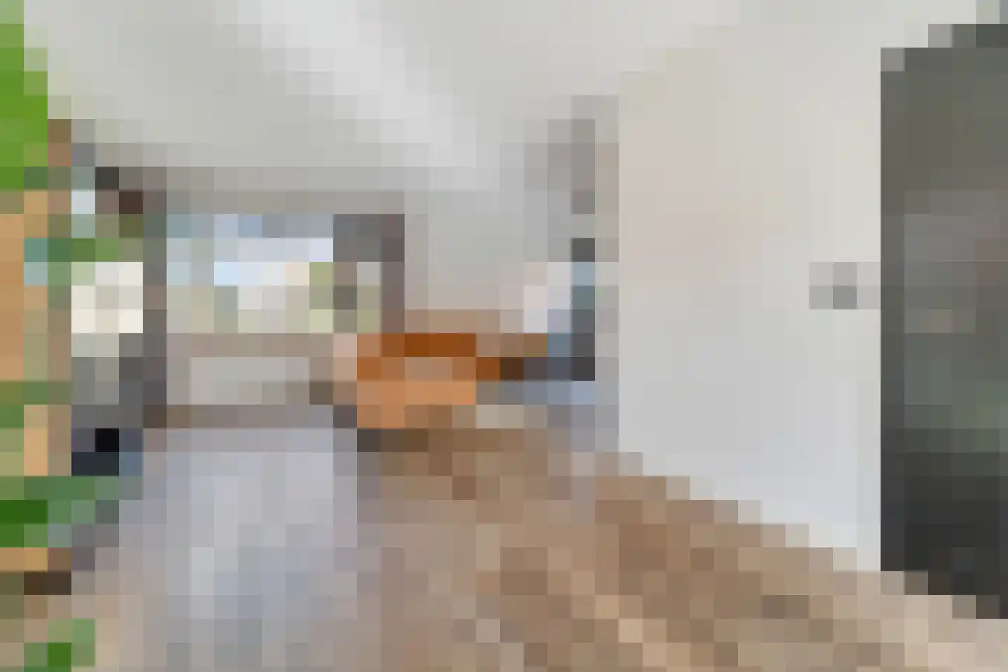 Weidehof 14 Hardenberg thumbnail 18