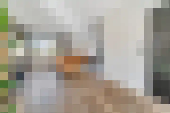 Weidehof 14 Hardenberg thumbnail 18