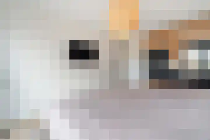 Weidehof 14 Hardenberg thumbnail 29