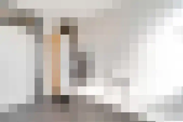 Weidehof 14 Hardenberg thumbnail 37