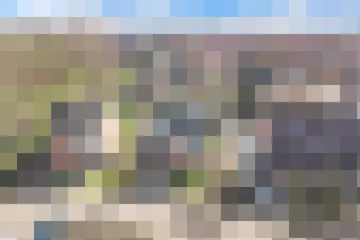Weidehof 14 Hardenberg thumbnail 4