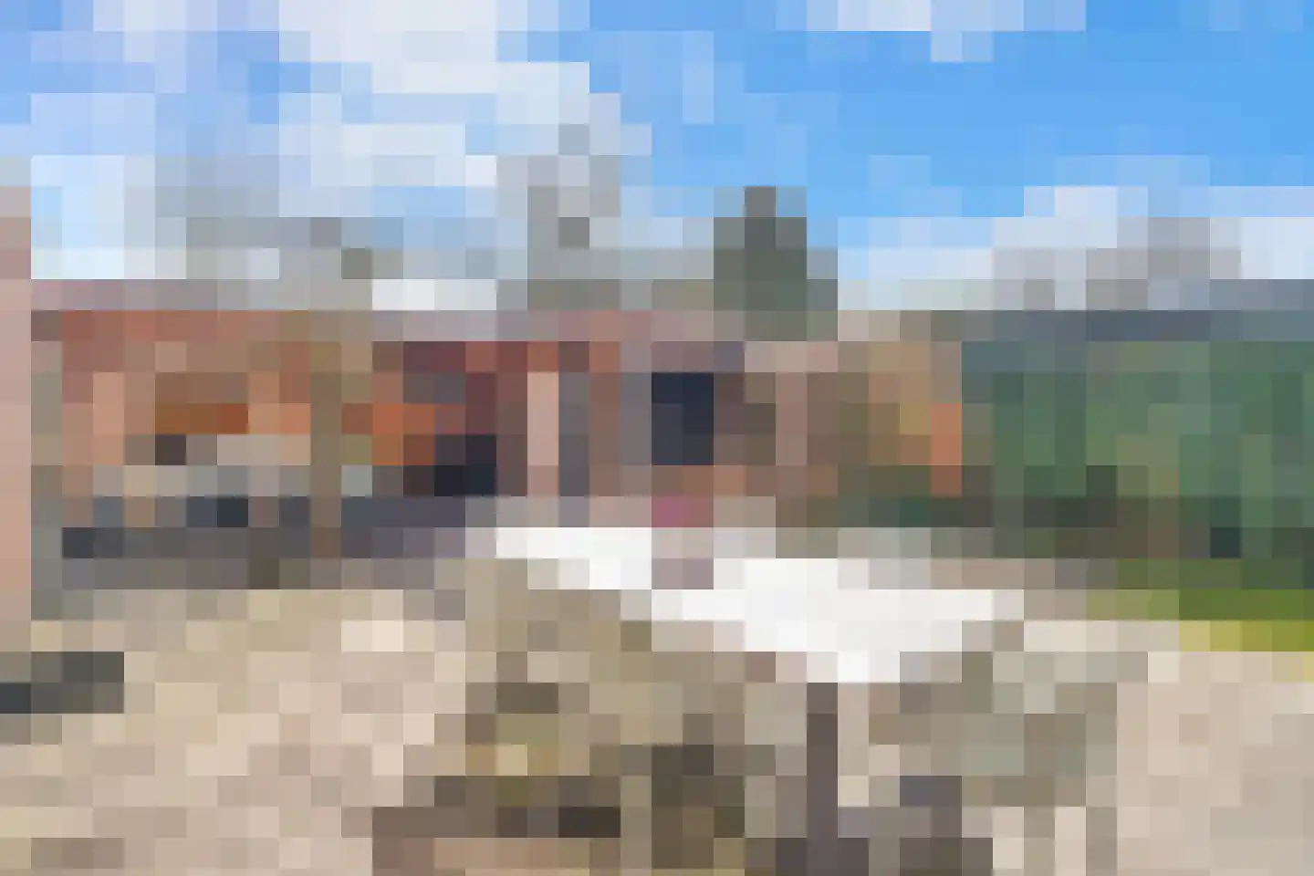 Weidehof 14 Hardenberg thumbnail 43