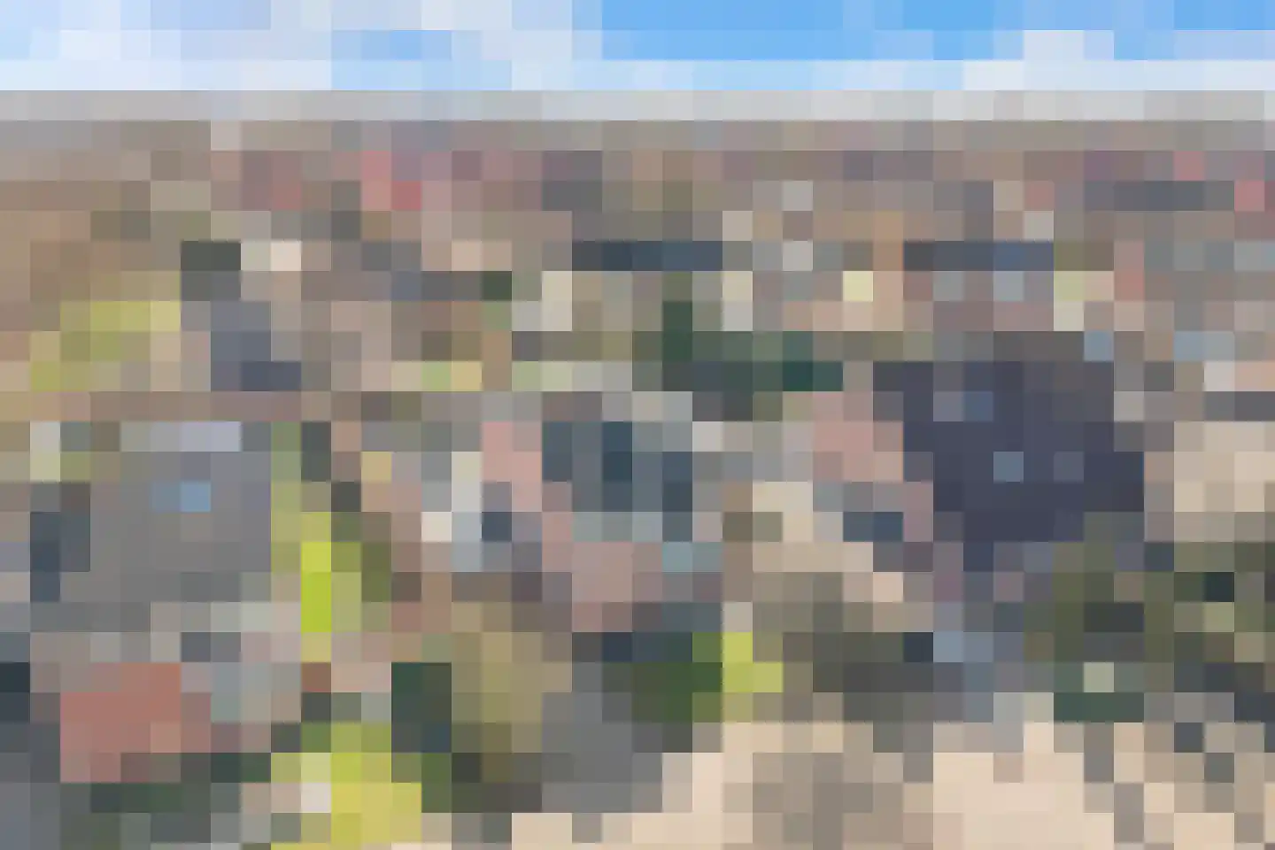 Weidehof 14 Hardenberg thumbnail 5