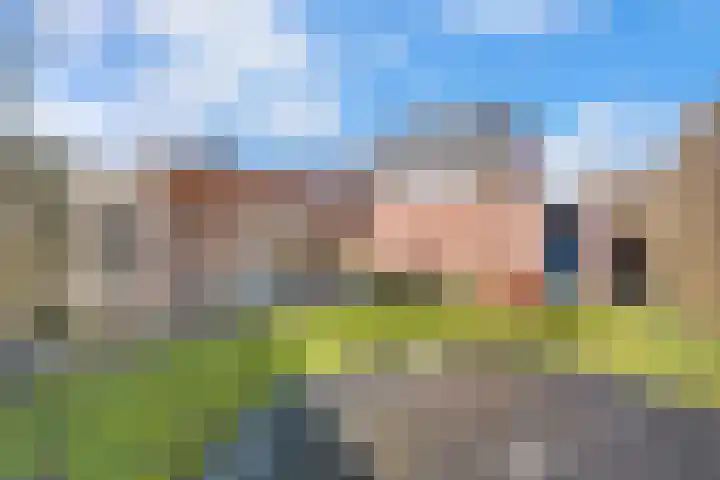 Weidehof 14 Hardenberg thumbnail 50