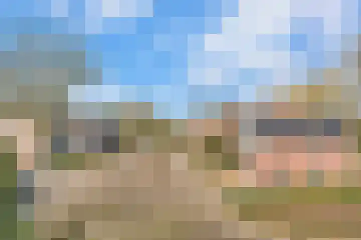 Weidehof 14 Hardenberg thumbnail 54