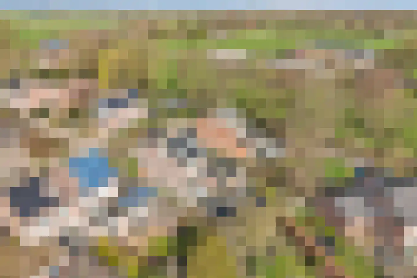 Weidehof 14 Hardenberg thumbnail 6