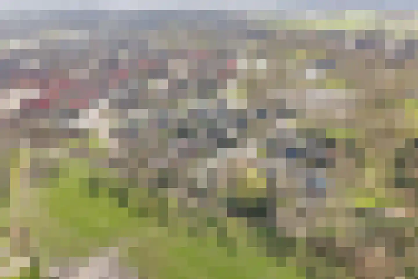Weidehof 14 Hardenberg thumbnail 7
