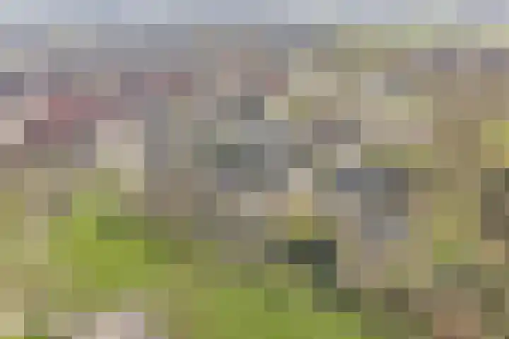 Weidehof 14 Hardenberg thumbnail 7