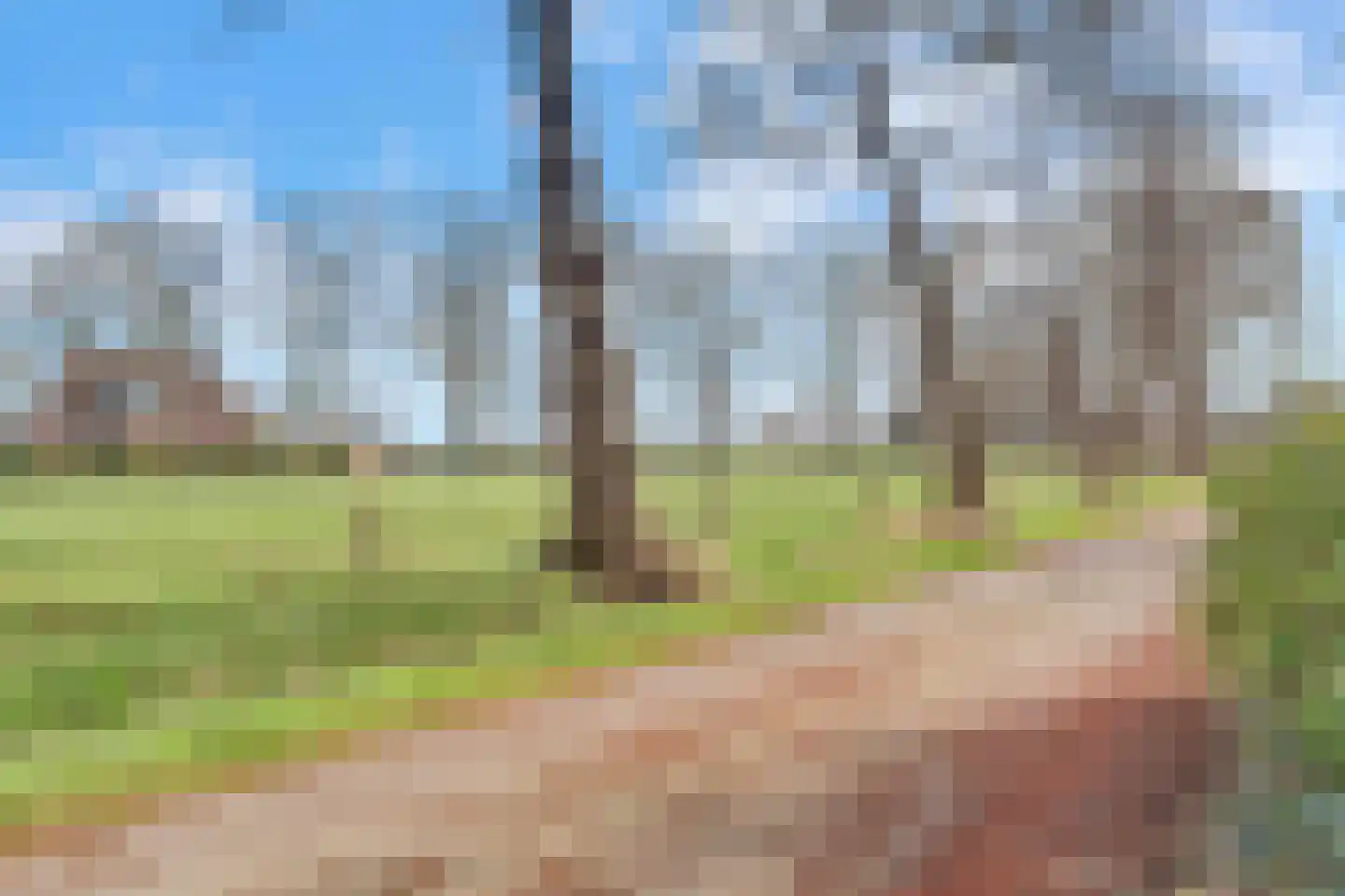 Weidehof 14 Hardenberg thumbnail 8