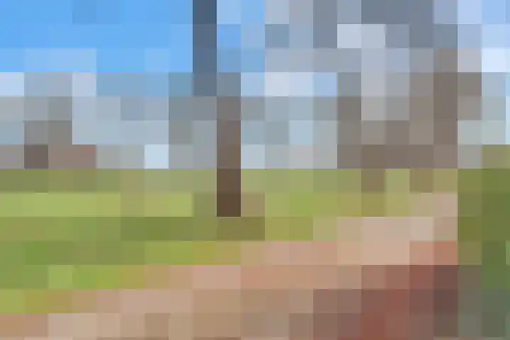 Weidehof 14 Hardenberg thumbnail 8