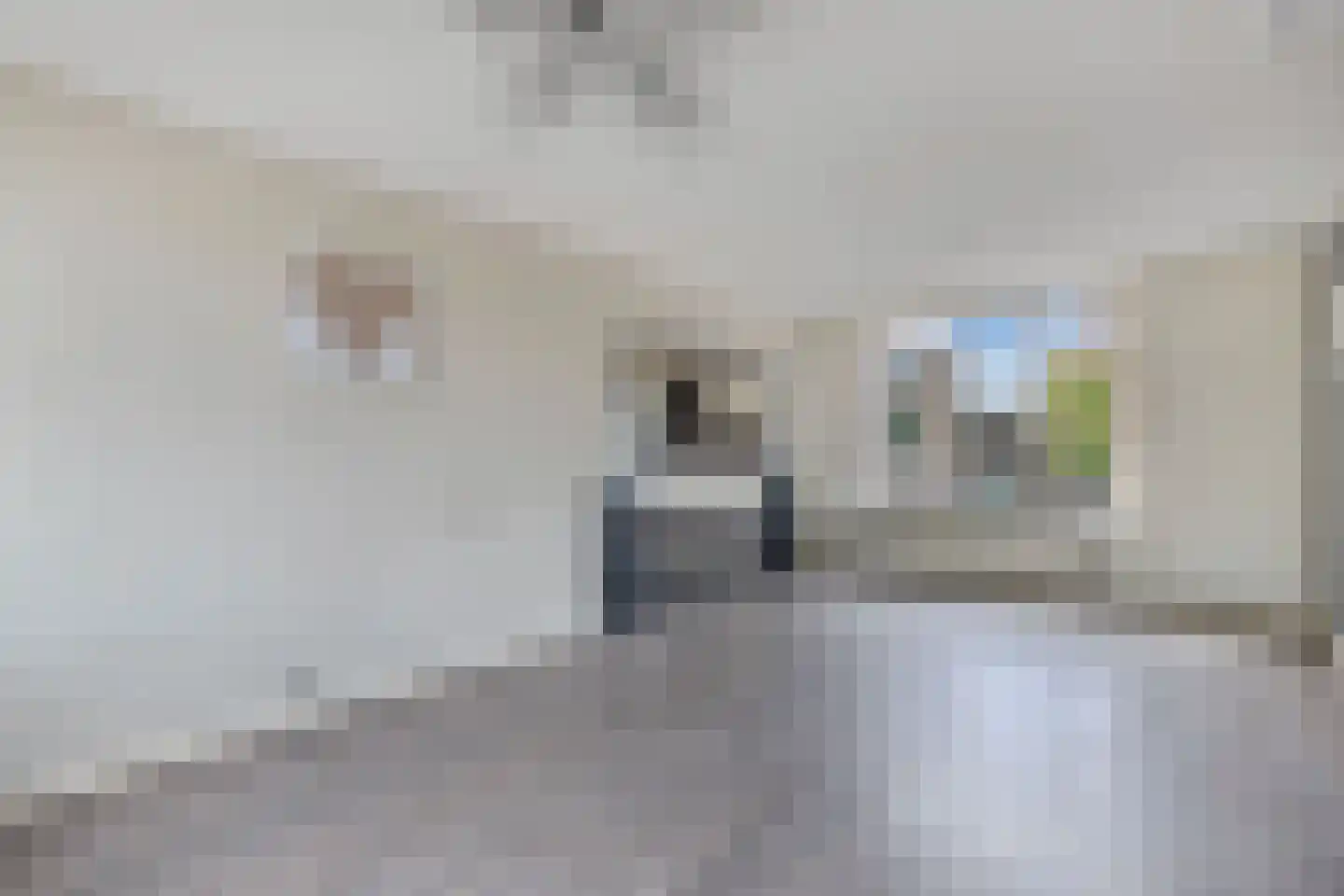 Weidehof 34 Biddinghuizen thumbnail 13