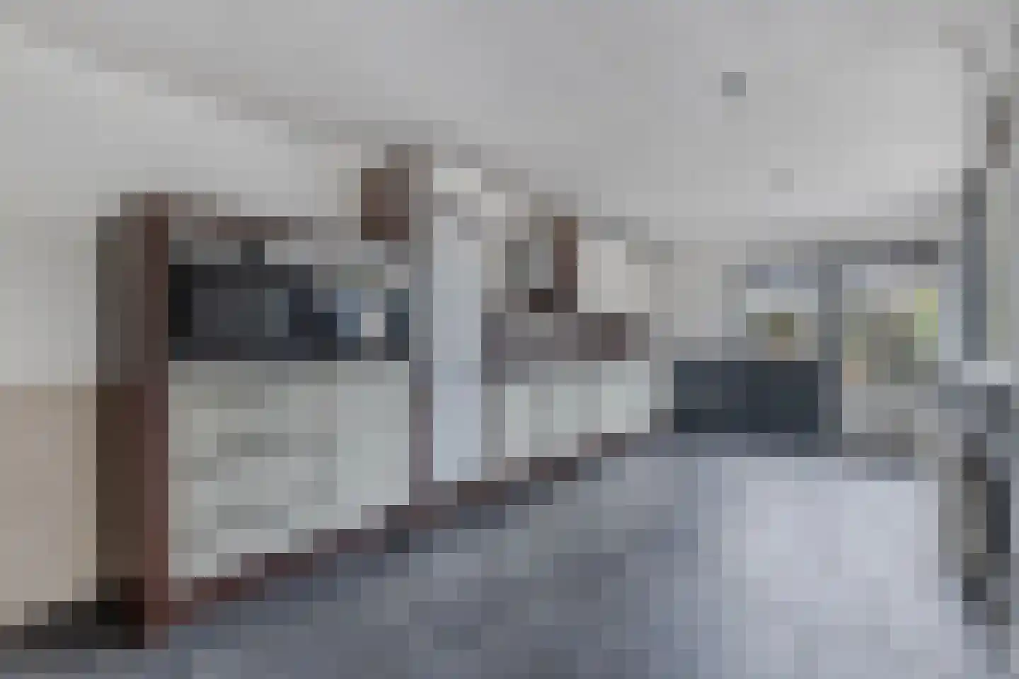 Weidehof 34 Biddinghuizen thumbnail 16