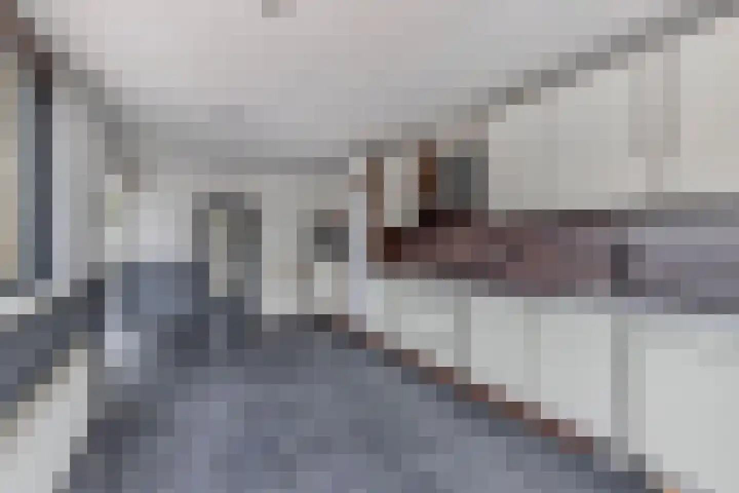 Weidehof 34 Biddinghuizen thumbnail 19