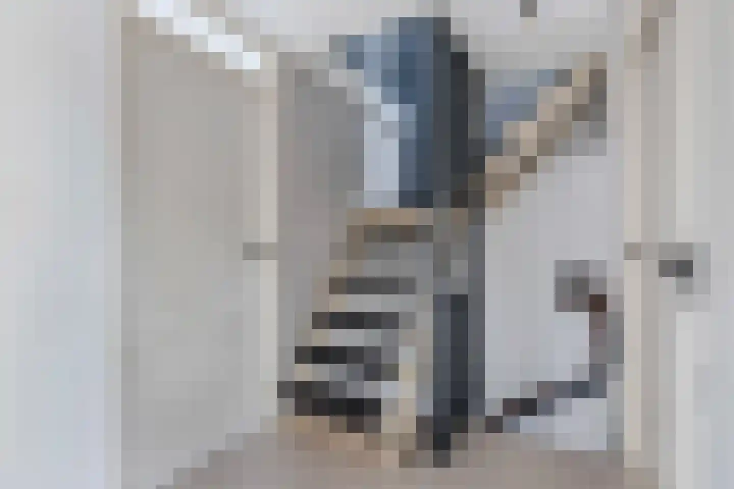 Weidehof 34 Biddinghuizen thumbnail 29
