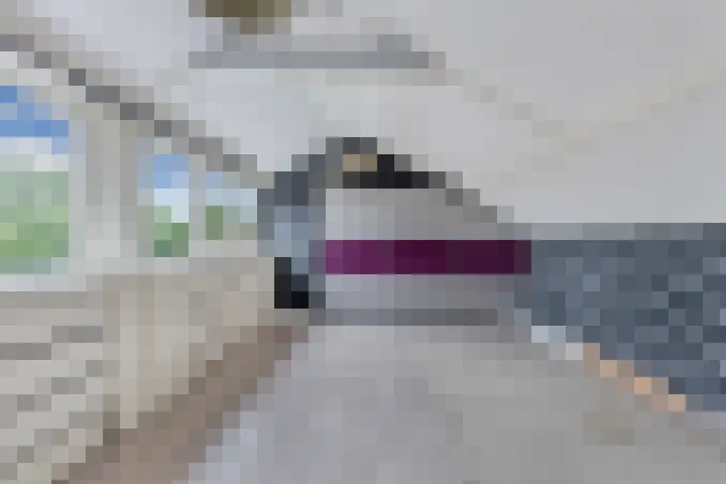 Weidehof 34 Biddinghuizen thumbnail 30