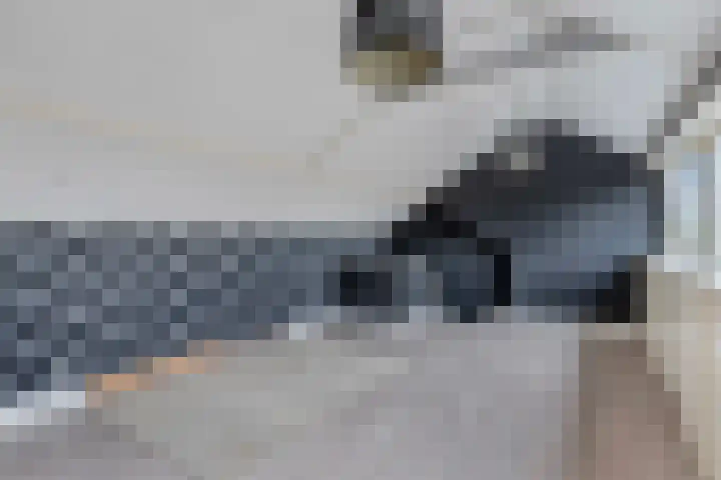 Weidehof 34 Biddinghuizen thumbnail 32