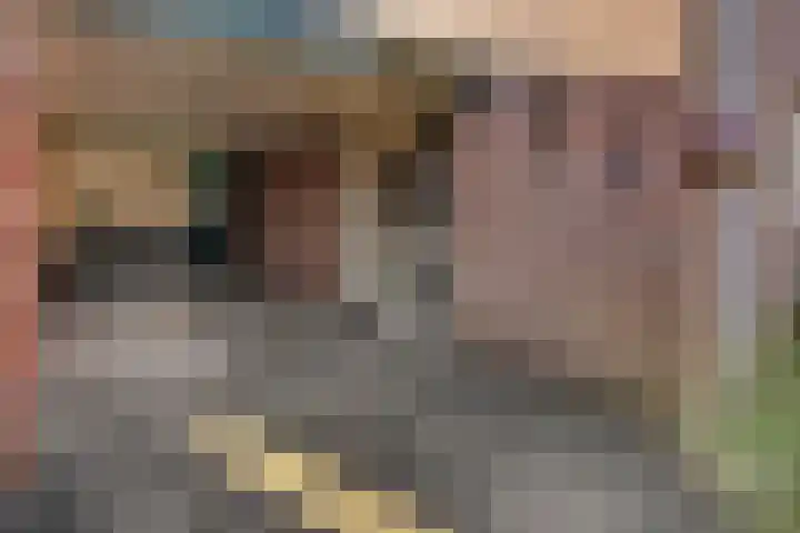 Weidehof 4 Hardenberg thumbnail 10
