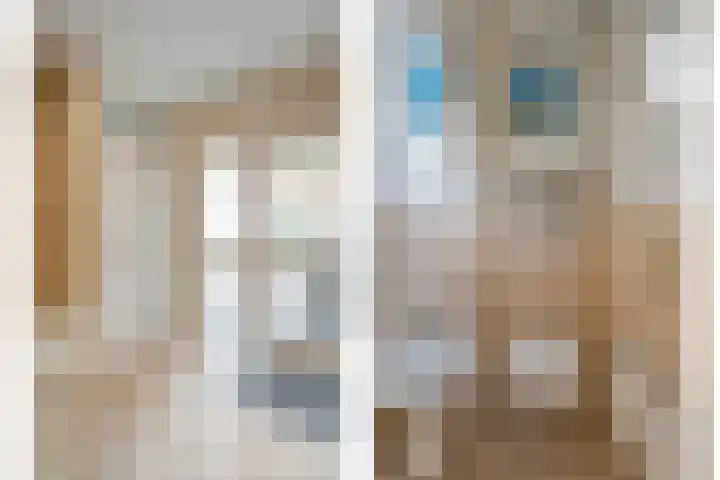Weidehof 4 Hardenberg thumbnail 12