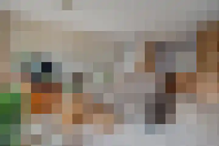 Weidehof 4 Hardenberg thumbnail 22