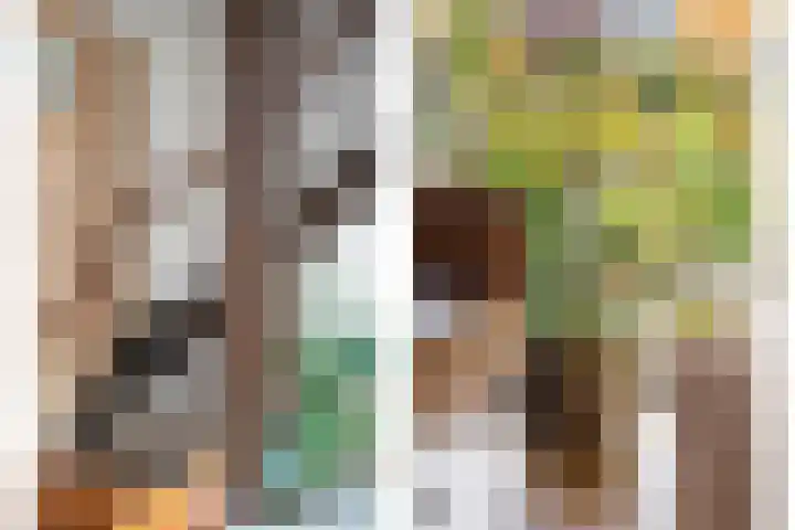 Weidehof 4 Hardenberg thumbnail 25