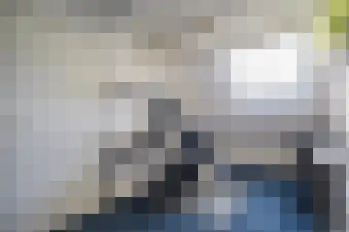 Weidehof 4 Hardenberg thumbnail 37