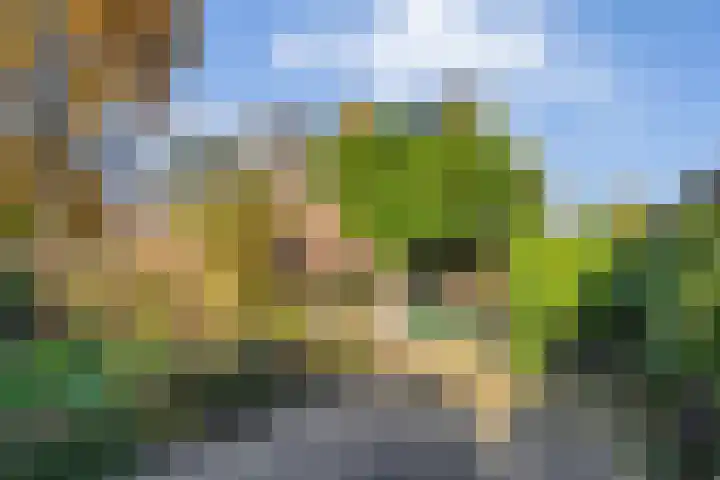 Weidehof 4 Hardenberg thumbnail 43
