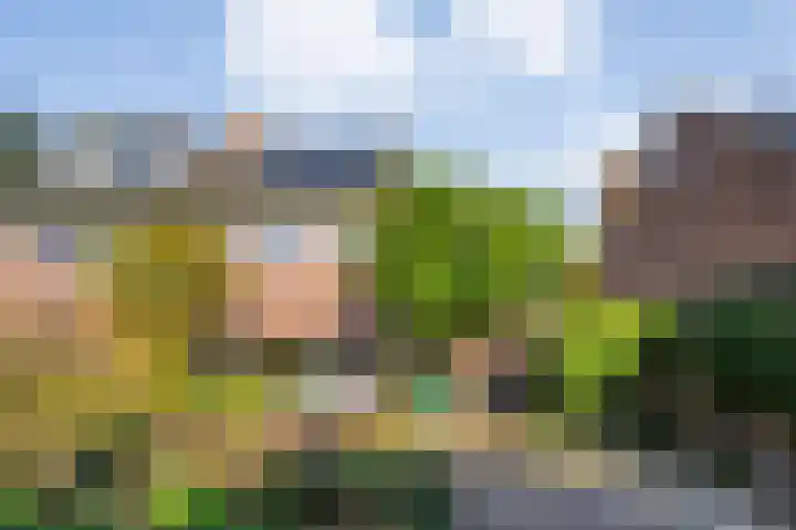 Weidehof 4 Hardenberg thumbnail 44