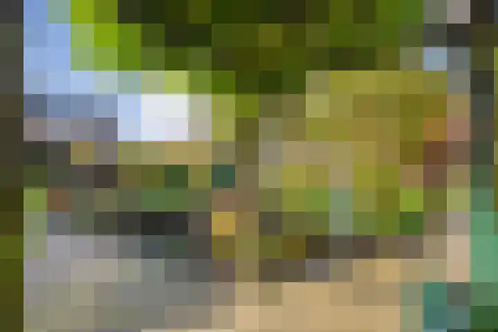 Weidehof 4 Hardenberg thumbnail 46