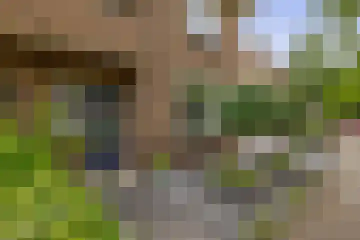 Weidehof 4 Hardenberg thumbnail 8