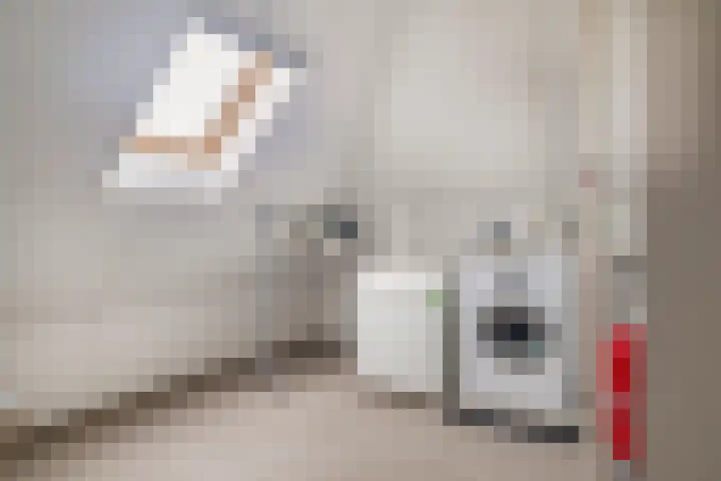 Weidehof 7 Ouderkerk aan den IJssel thumbnail 50