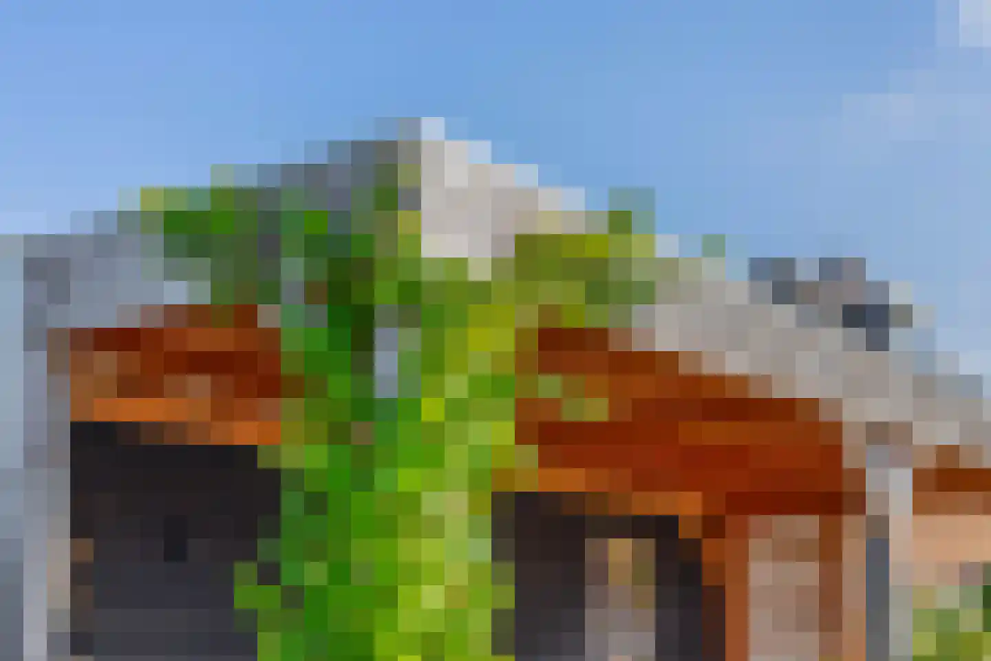 Weidehof 7 Ouderkerk aan den IJssel thumbnail 72