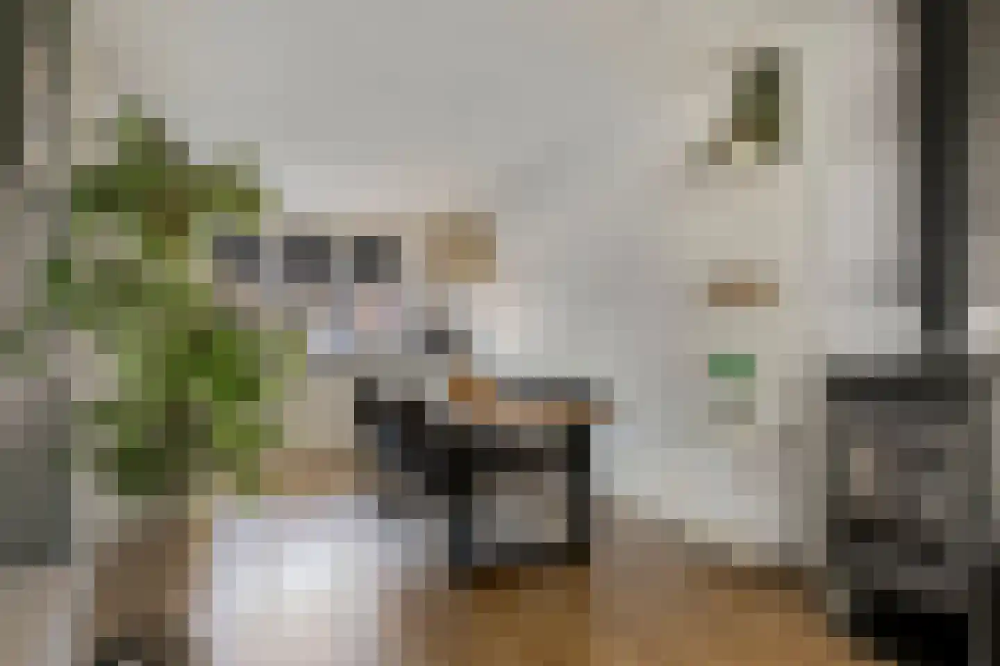 Weidehof 8 Wanssum thumbnail 13