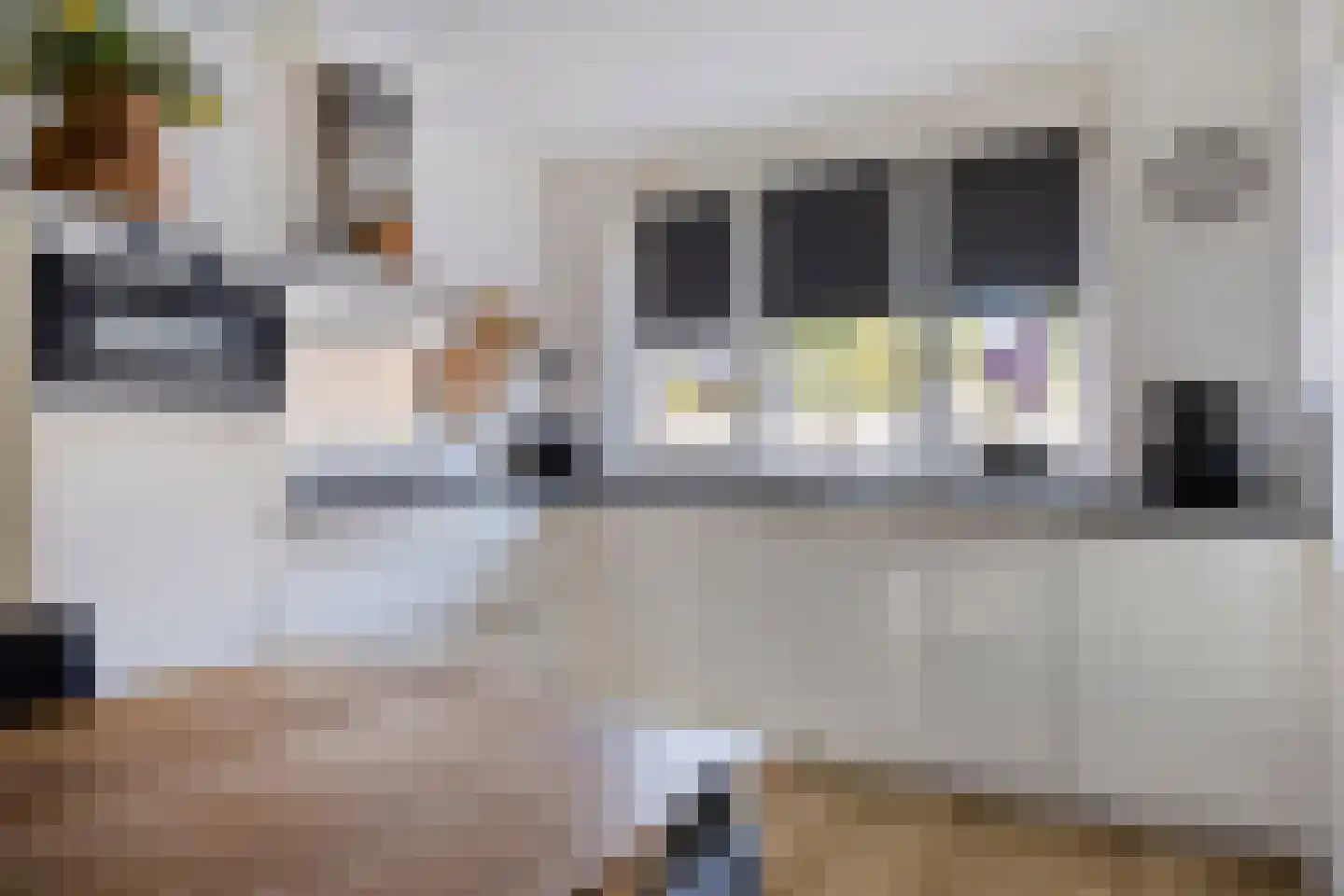 Weidehof 8 Wanssum thumbnail 15